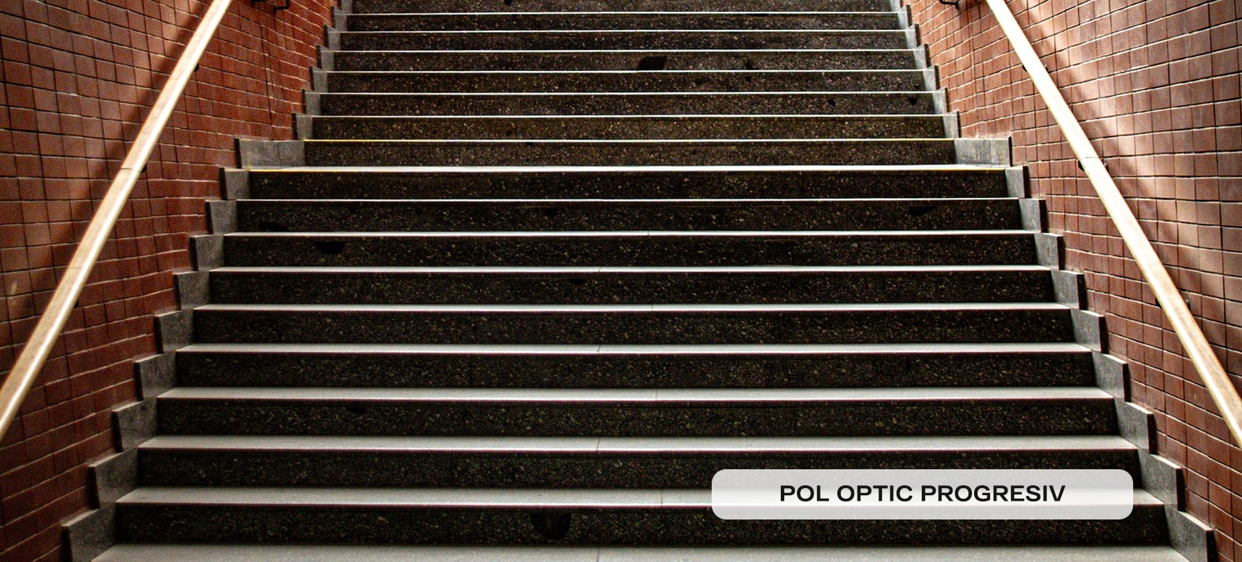 Mojave desert in the dark